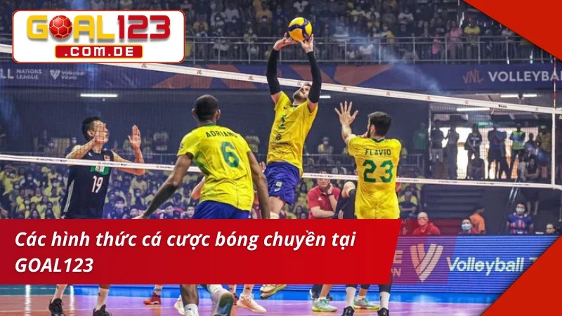 Cược Bóng Chuyền cùng đa dạng loại kèo