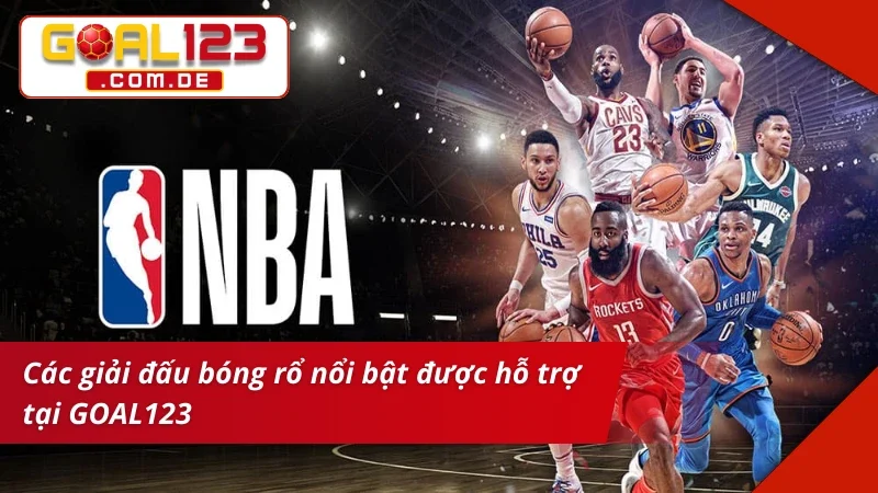 Bet kèo Bóng Rổ sôi động với nhiều giải đấu