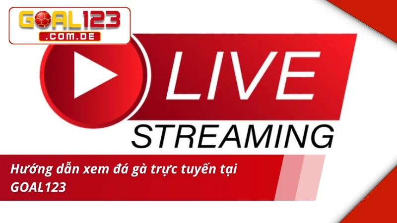 Xem live Đá Gà với độ trễ bằng 0 tại nhà cái