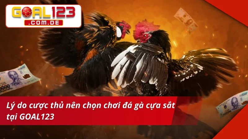 Trải nghiệm bùng nổ cùng siêu phẩm Đá Gà Cựa Sắt