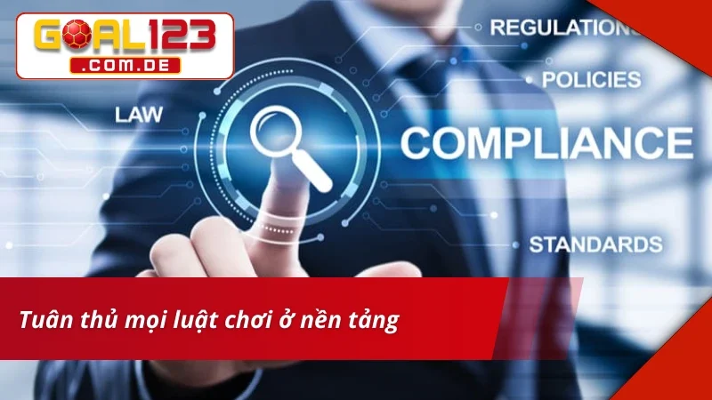 Điều khoản và điều kiện yêu cầu hội viên tuân theo pháp luật