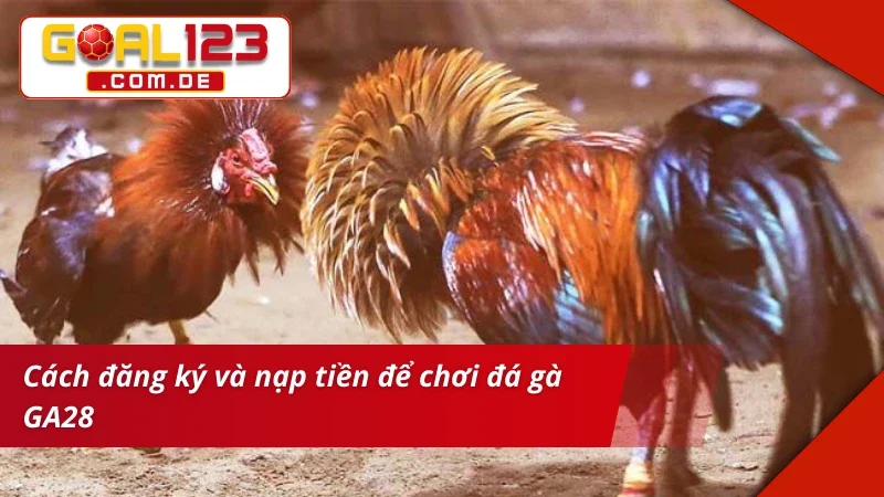 Tạo lập và nạp tiền nhanh để vào chơi GA28 Đá Gà