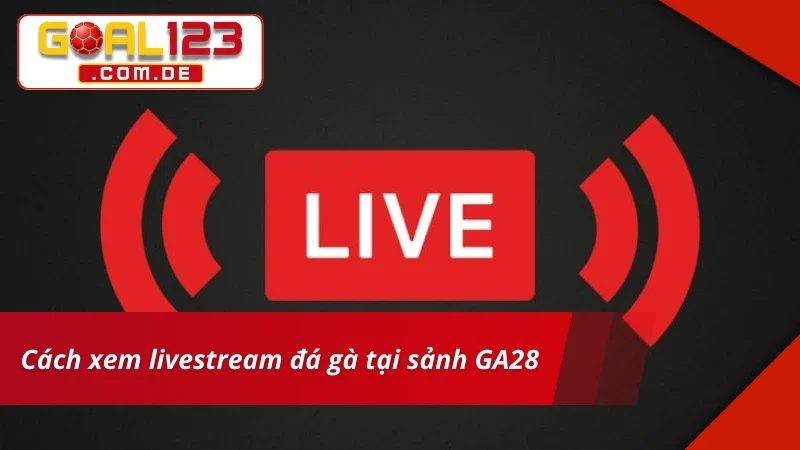 GA28 Đá Gà hỗ trợ xem livestream siêu nét